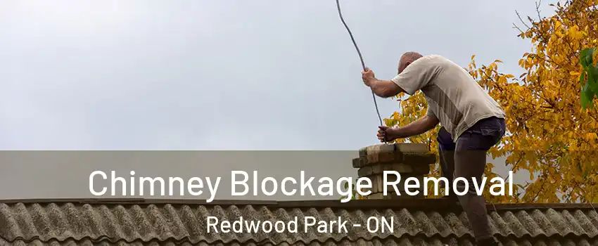  Chimney Blockage Removal Redwood Park - ON