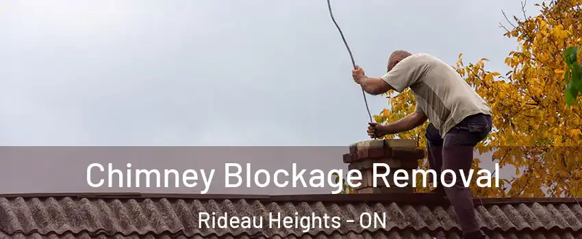  Chimney Blockage Removal Rideau Heights - ON