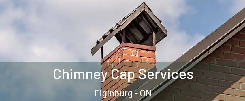  Chimney Cap Services Elginburg - ON