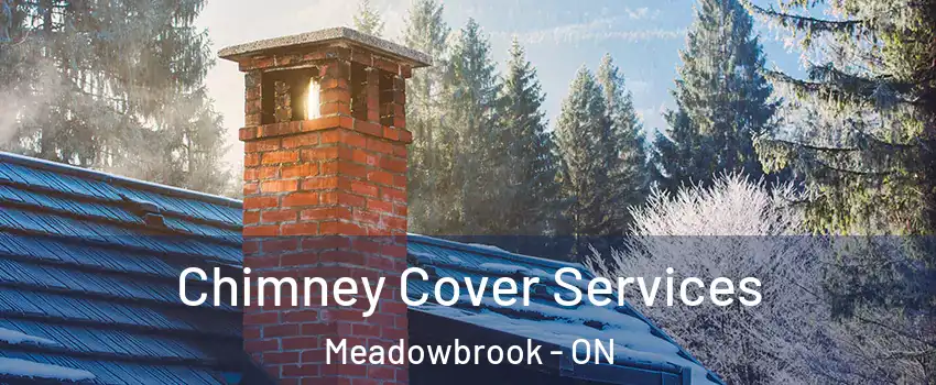  Chimney Cover Services Meadowbrook - ON