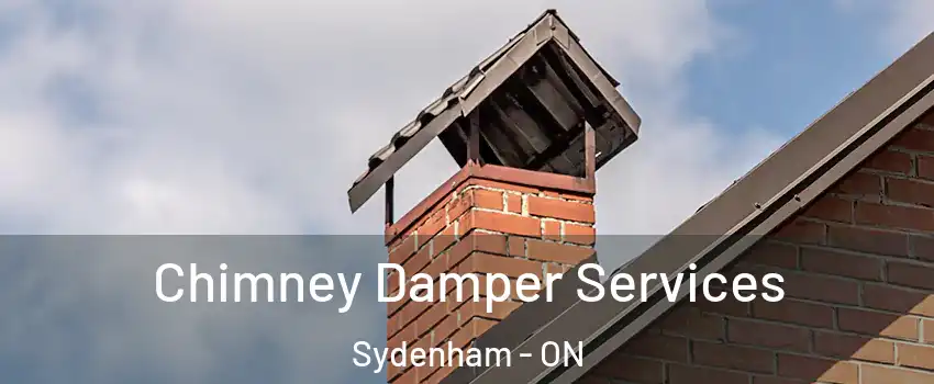  Chimney Damper Services Sydenham - ON