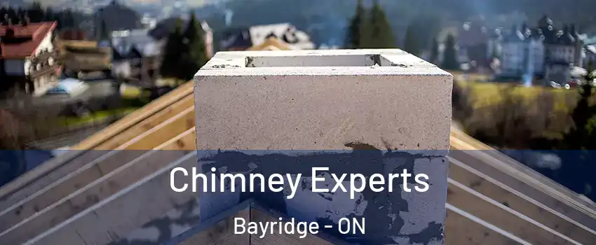 Chimney Experts Bayridge - ON