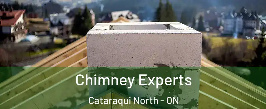 Chimney Experts Cataraqui North - ON