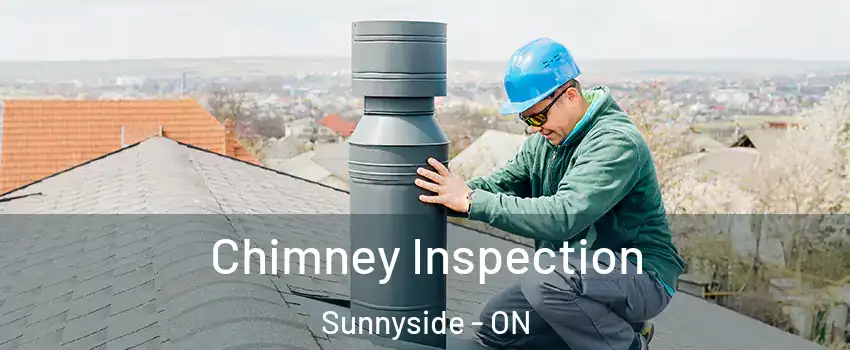  Chimney Inspection Sunnyside - ON