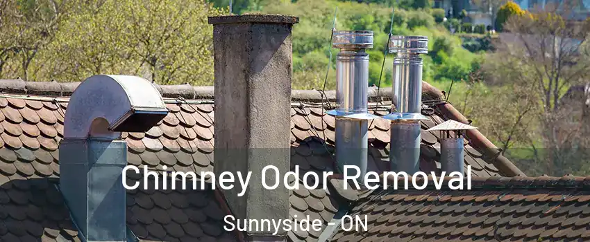  Chimney Odor Removal Sunnyside - ON