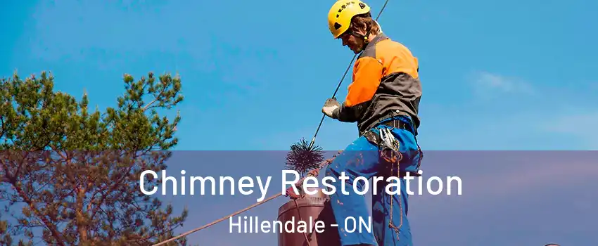  Chimney Restoration Hillendale - ON