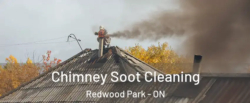  Chimney Soot Cleaning Redwood Park - ON