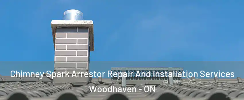  Chimney Spark Arrestor Repair And Installation Services Woodhaven - ON