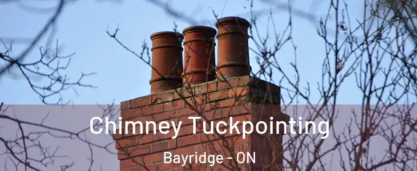  Chimney Tuckpointing Bayridge - ON