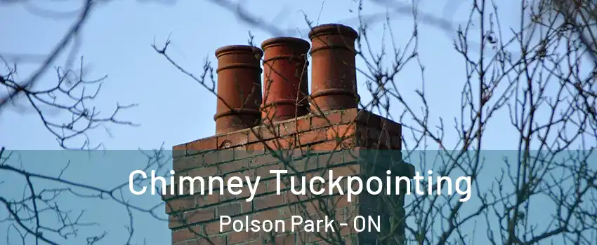  Chimney Tuckpointing Polson Park - ON