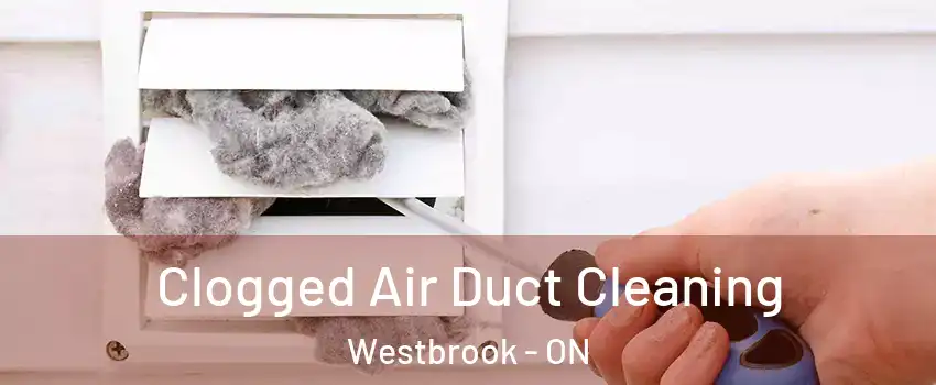  Clogged Air Duct Cleaning Westbrook - ON