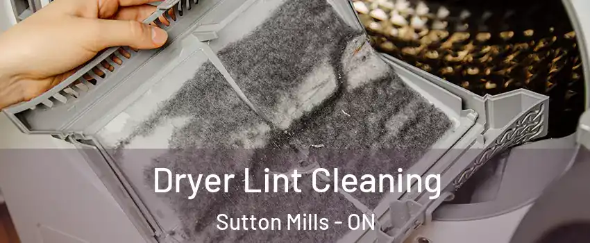  Dryer Lint Cleaning Sutton Mills - ON
