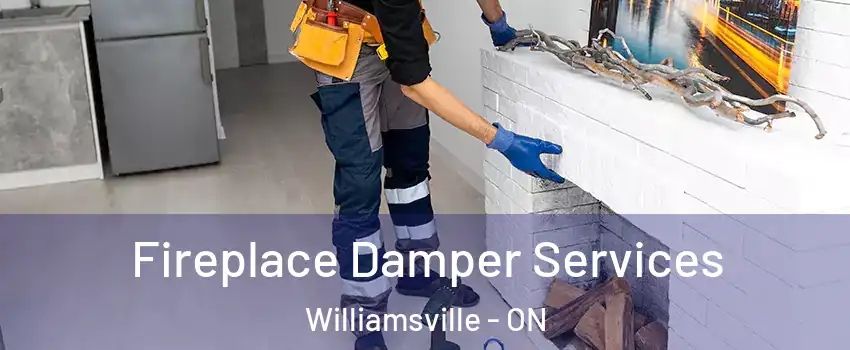Fireplace Damper Services Williamsville - ON