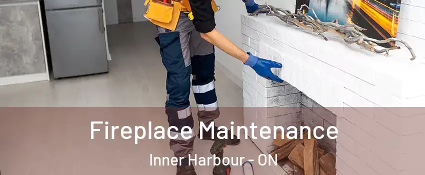  Fireplace Maintenance Inner Harbour - ON