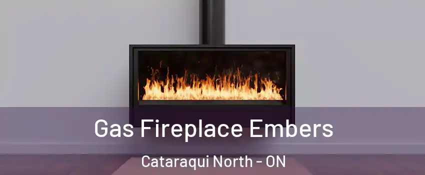  Gas Fireplace Embers Cataraqui North - ON