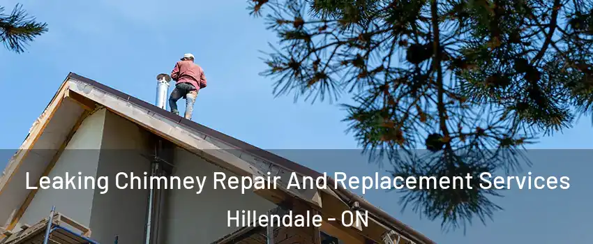  Leaking Chimney Repair And Replacement Services Hillendale - ON