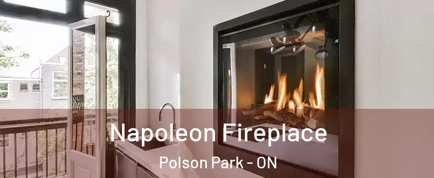  Napoleon Fireplace Polson Park - ON