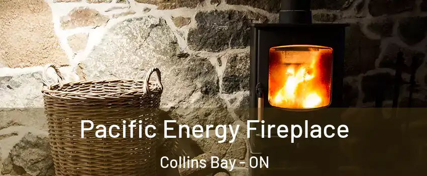  Pacific Energy Fireplace Collins Bay - ON