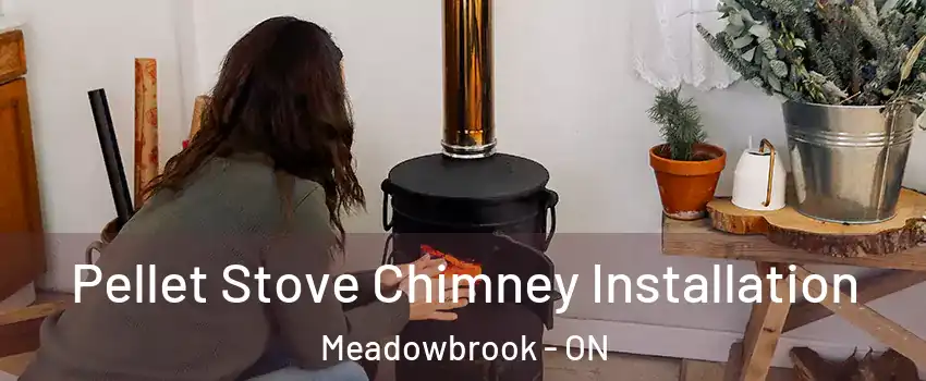  Pellet Stove Chimney Installation Meadowbrook - ON
