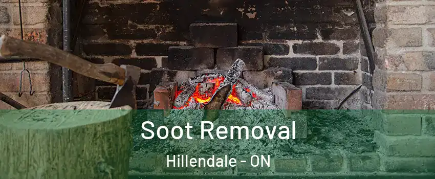  Soot Removal Hillendale - ON