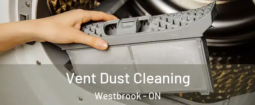  Vent Dust Cleaning Westbrook - ON